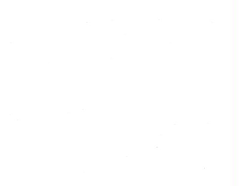 *55005 OPTICAL WHITE